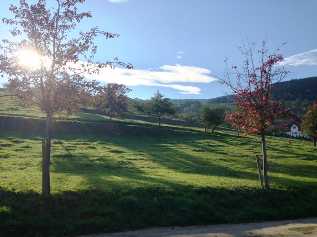 camping oberried 2015 10 06 - Kopie                                 